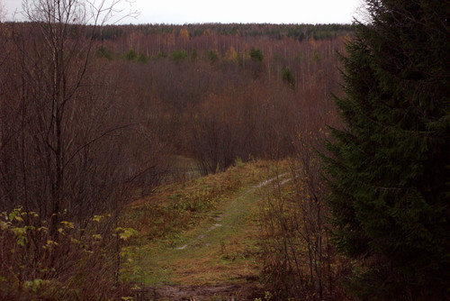 IMG 1987 a.jpg