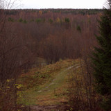IMG 1987 a