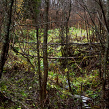 IMG 1979 a