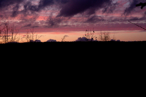 IMG 1958 b.jpg