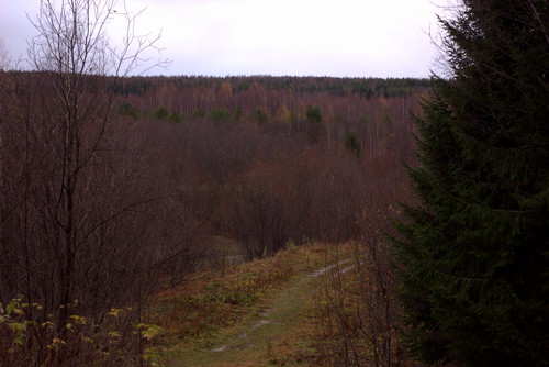 IMG 1986 a.jpg