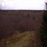 IMG 1986 a