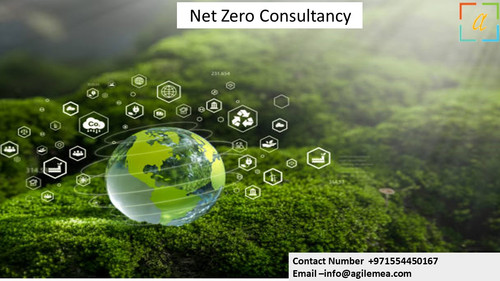 Net Zero consultancy 29M 24.jpg