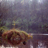 IMG 1931 a