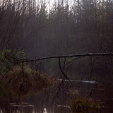 IMG 1935 a