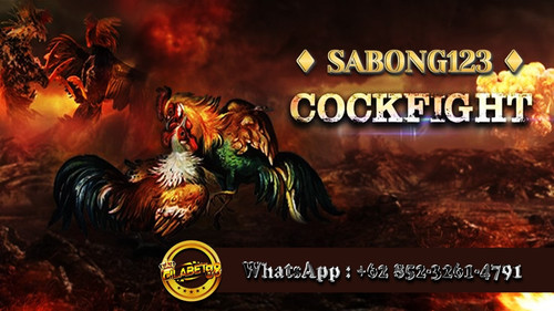 GILABET88 : DAFTAR SITUS SABUNG AYAM ONLINE TERBAIK DI INDONESIA.jpg