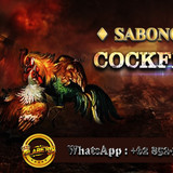 GILABET88 : DAFTAR SITUS SABUNG AYAM ONLINE TERBAIK DI INDONESIA