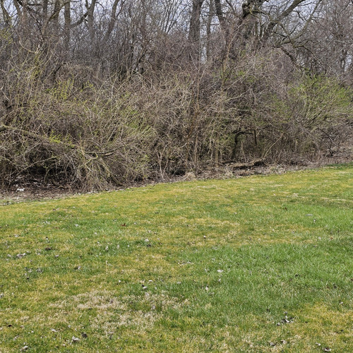 20240326 162802.jpg