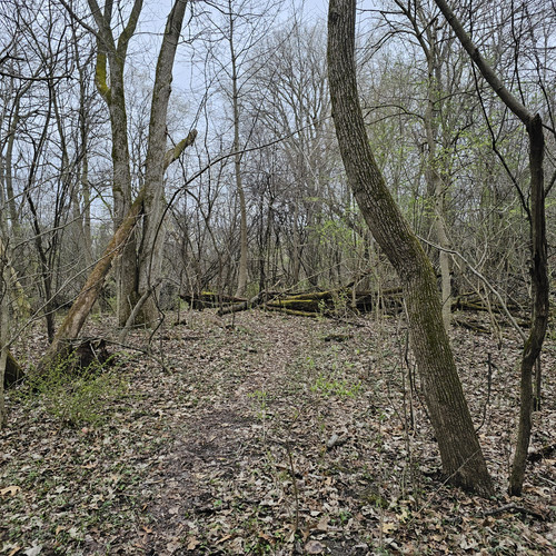 20240326 164319.jpg