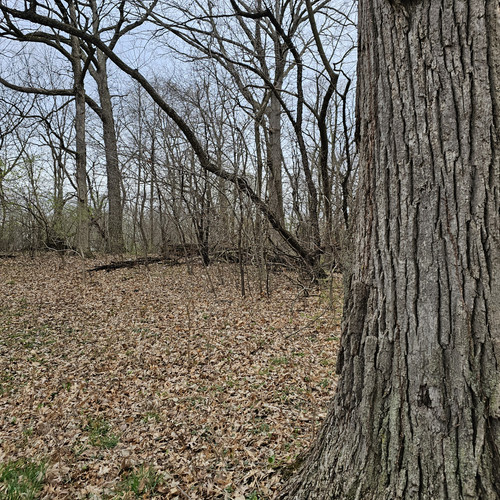 20240326 170735.jpg