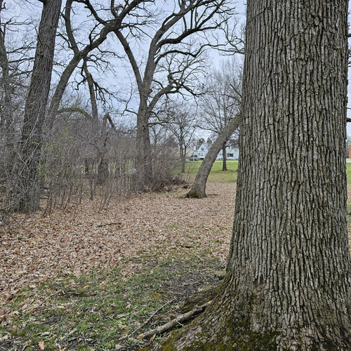 20240326 171147.jpg