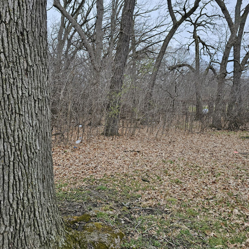 20240326 171158.jpg