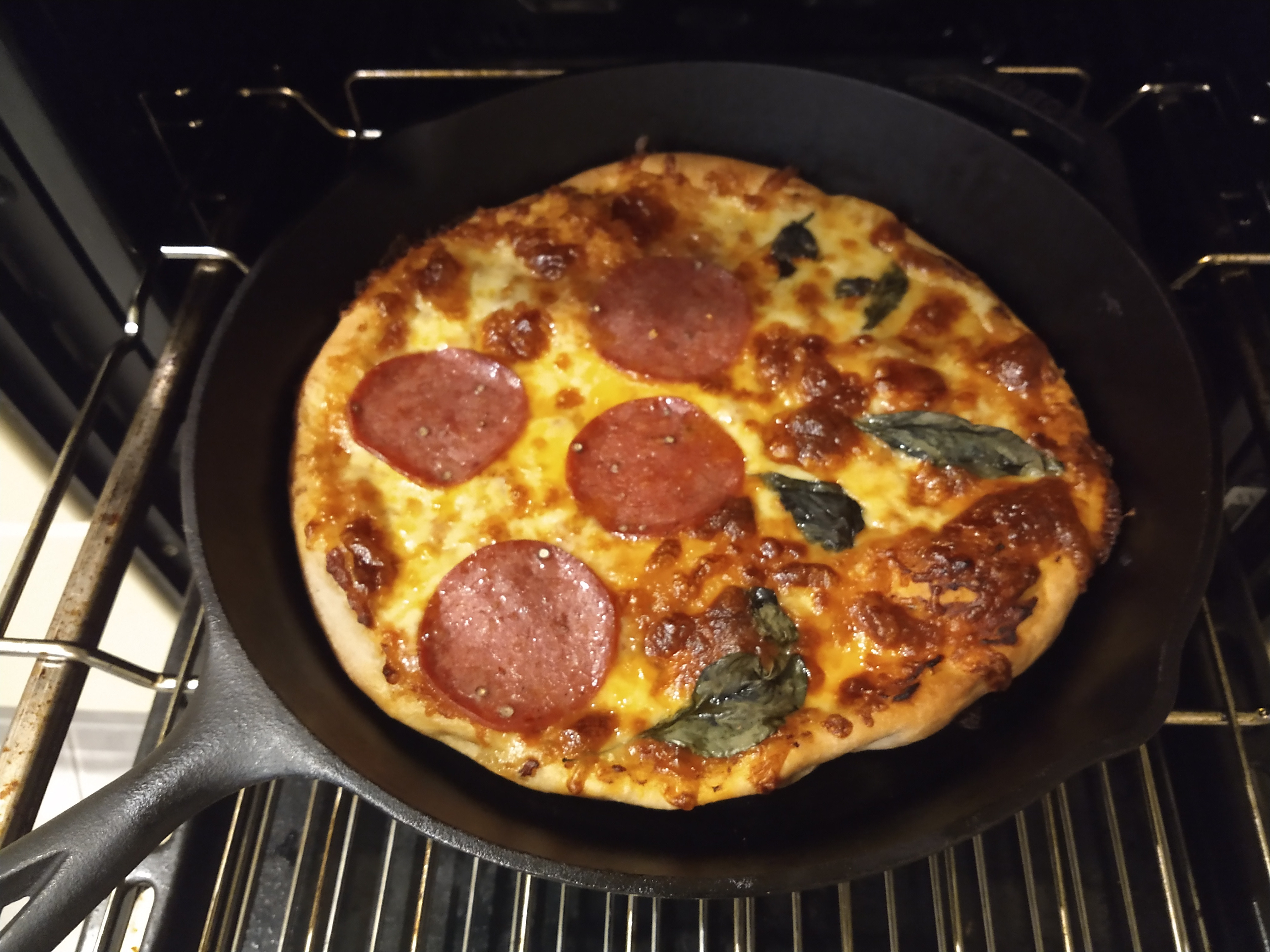 Made one pizza on the oven stone and another in a cast iron pan. r