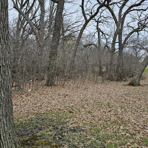 20240326 171156.jpg
