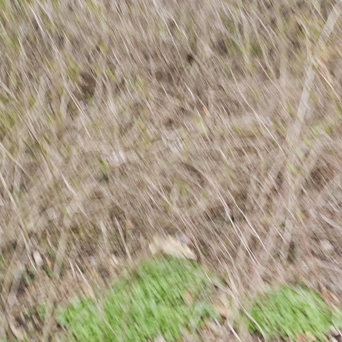20240326 161319.jpg