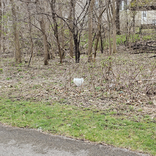 20240326 161044.jpg