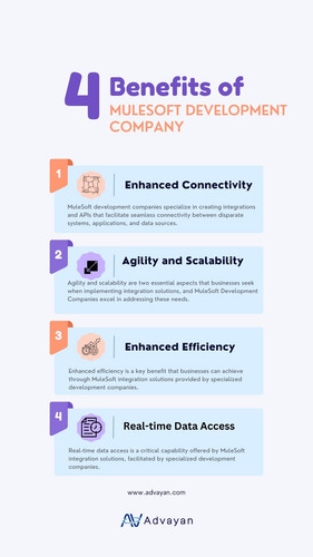 MuleSoft Development Company.jpg