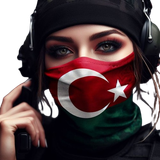 T33.png