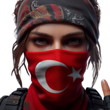 T3.png