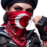 T2.png
