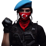 T18.png
