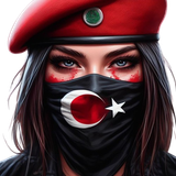 T31.png