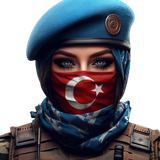T22.png