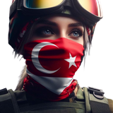 T23.png