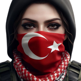 T17.png