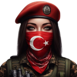 T24.png
