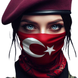 T26.png