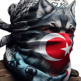 T20.png