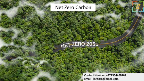 NZ carbon 27 March 2024.jpg