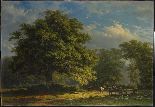 Roth, George Andries Вид Бентхаймского леса, 1870, 84 cm х 119 cm, Холст, масло