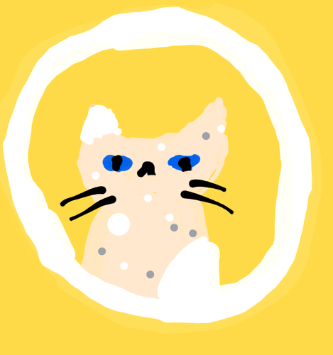 canvas (30).png