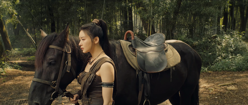 正片｜霍家拳之铁臂娇娃2 0 3840x1632 860 ts 25 4 1 HEVC.mp4 20240329 105417.282.png