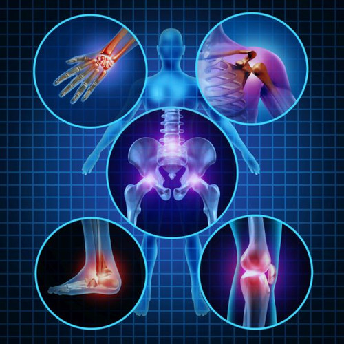 Total Joint Replacement Surgeon in Delhi NCR.jpg