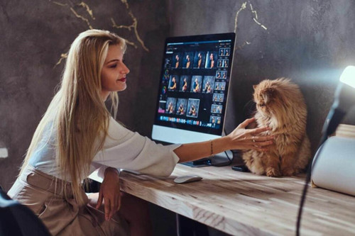 Increase Your Pet Grooming Reach With Online Booking Systems Tips and Tricks.jpg