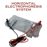 Horizontal Electrophoresis system