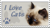 cats.gif