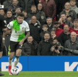 1712509907985123.gif