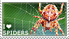 spiders.png