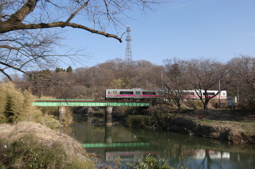 TZ95P1001864.jpg