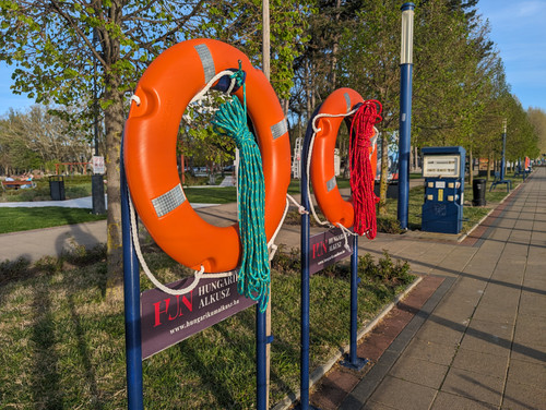 PXL 20240405 161128291.jpg