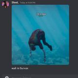 Discord ZEmHsD7WZo.png