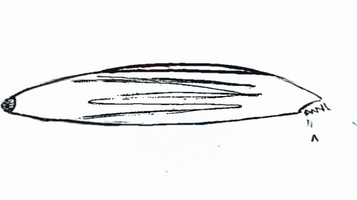 b9b77f6fbf00.png