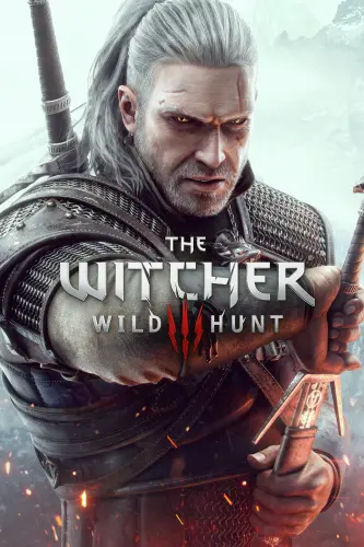 TheWitcher.webp