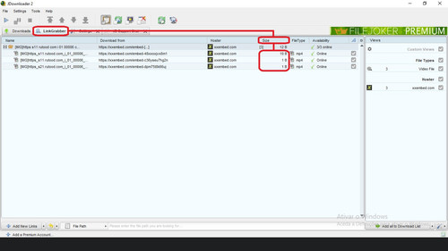 HOST xxembed.com Wrong file size.jpg