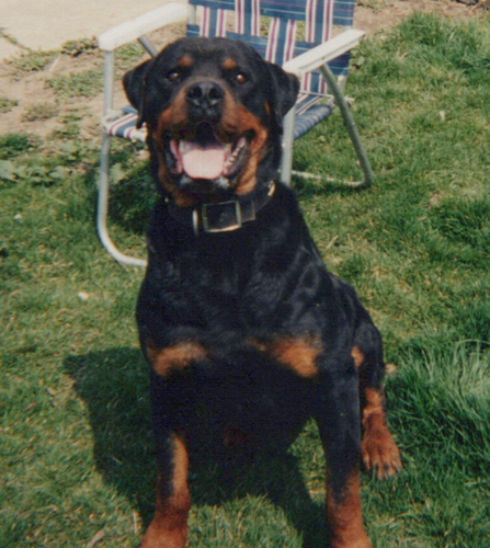 Screenshot 20240409 094133.png