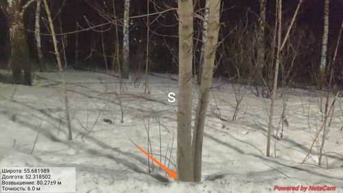 IMG 5435.jpg